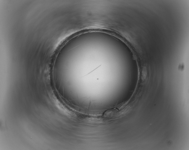 X0000111811356200907301223