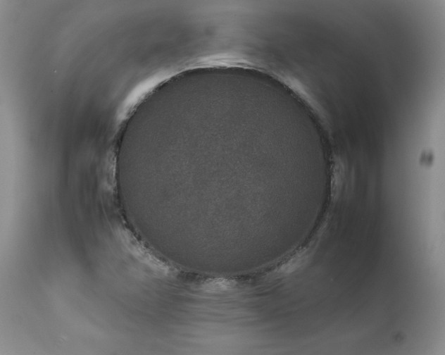 X0000111811358200907301223