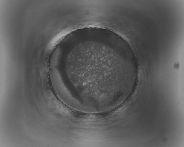 X0000111811359200907301223