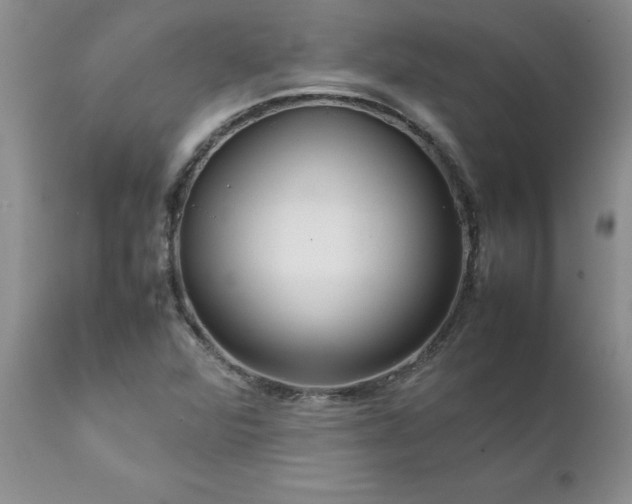 X0000111811360200907301223