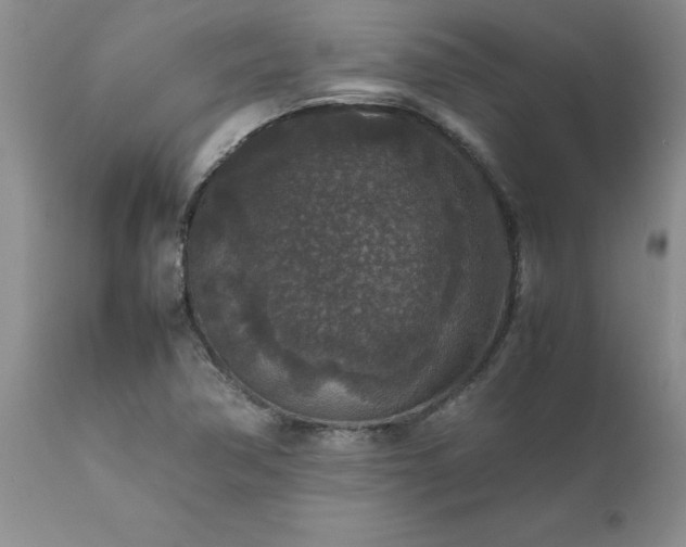X0000111811362200907301223