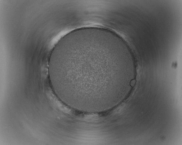 X0000111811363200907301223