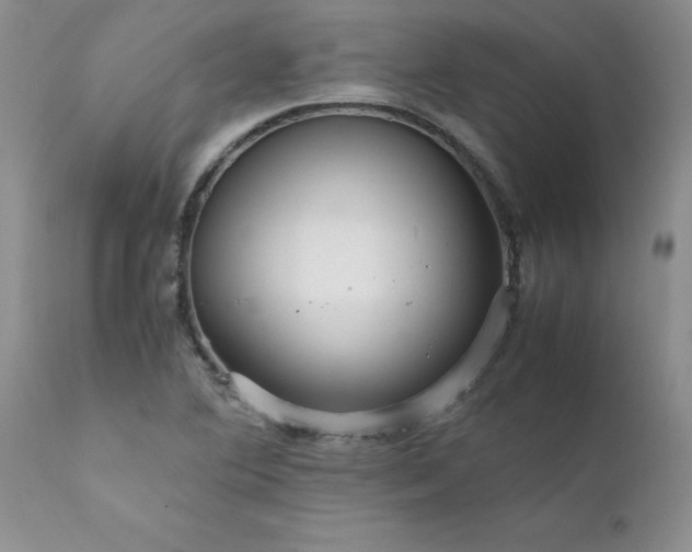 X0000111811364200907301223