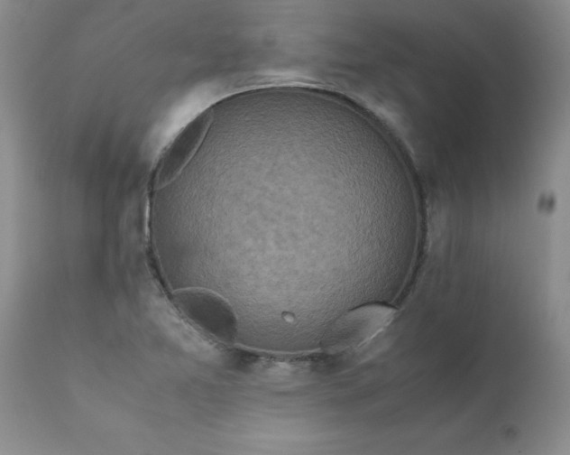 X0000111811365200907301223