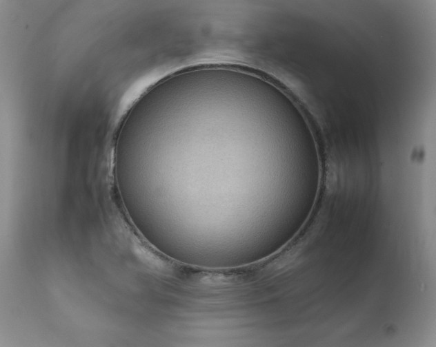 X0000111811366200907301223