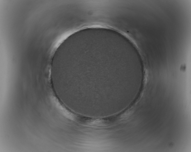 X0000111811367200907301223