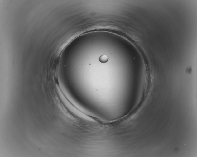 X0000111811369200907301223