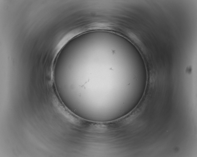 X0000111811370200907301223