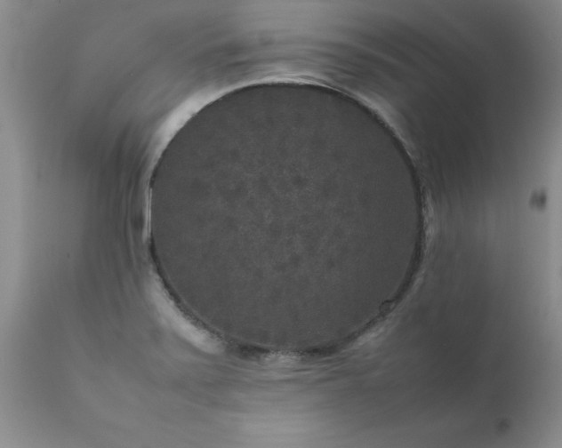 X0000111811371200907301223