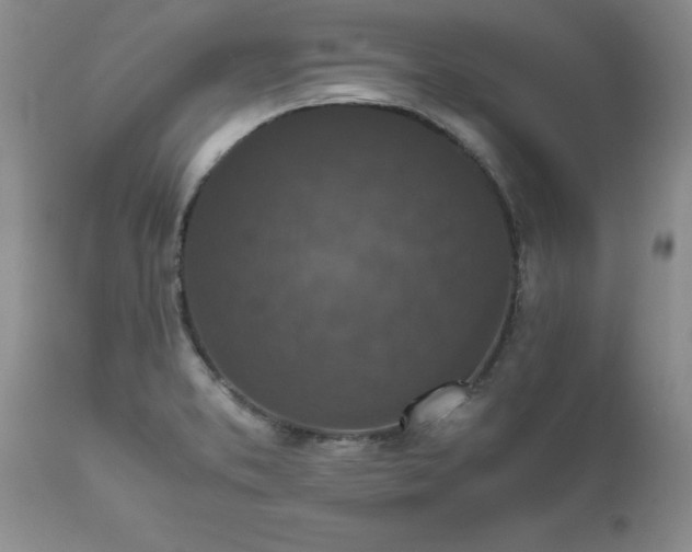 X0000111811373200907301223