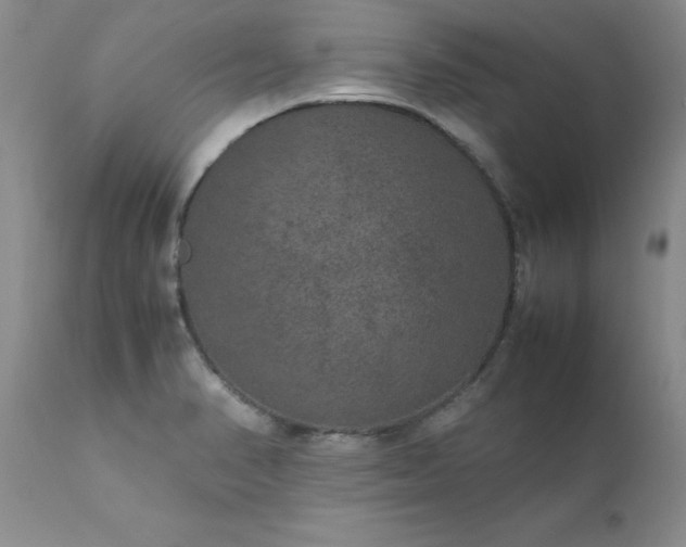 X0000111811374200907301223