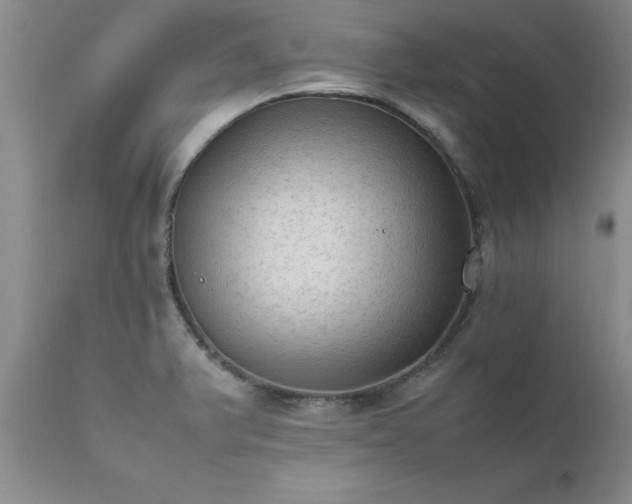 X0000111811375200907301223