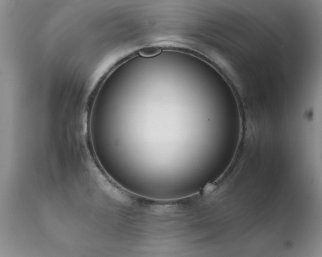 X0000111811376200907301223