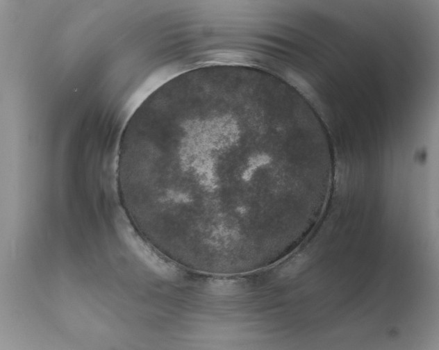 X0000111811378200907301223