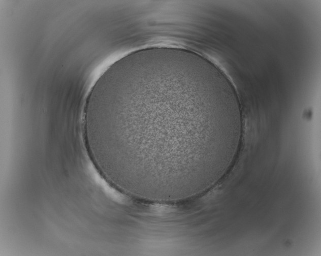 X0000111811379200907301223