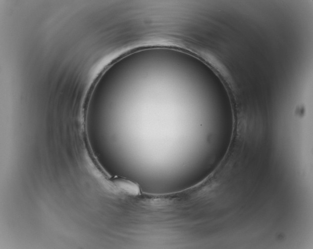 X0000111811380200907301223