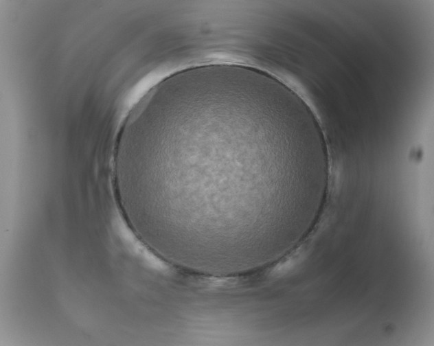 X0000111811381200907301223