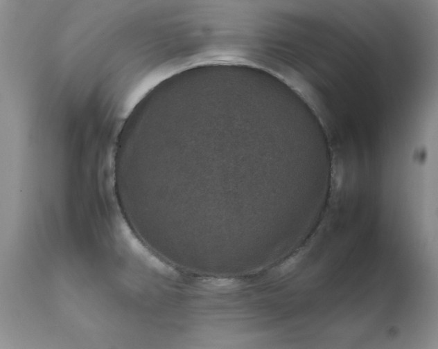 X0000111811382200907301223