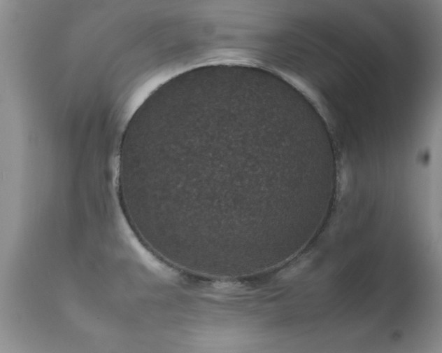 X0000111811383200907301223