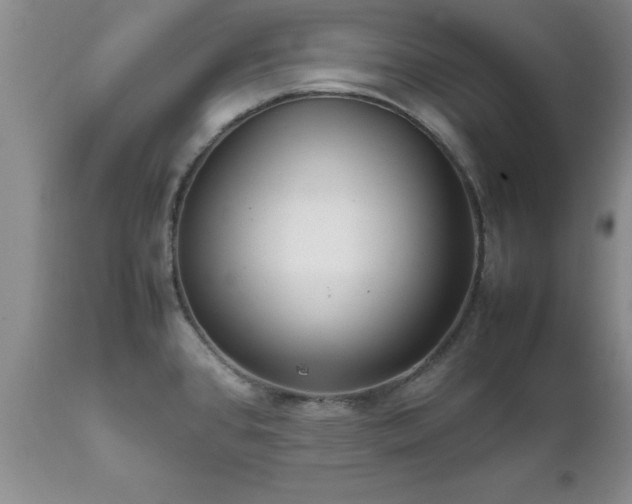 X0000111811384200907301223