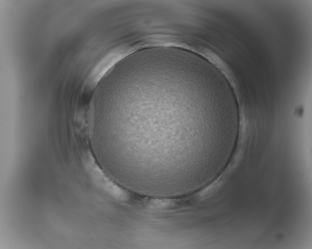 X0000111811385200907301223