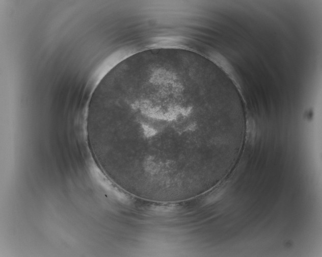 X0000111811386200907301223