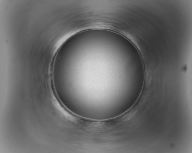 X0000111811387200907301223