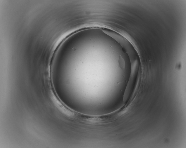 X0000111811388200907301223