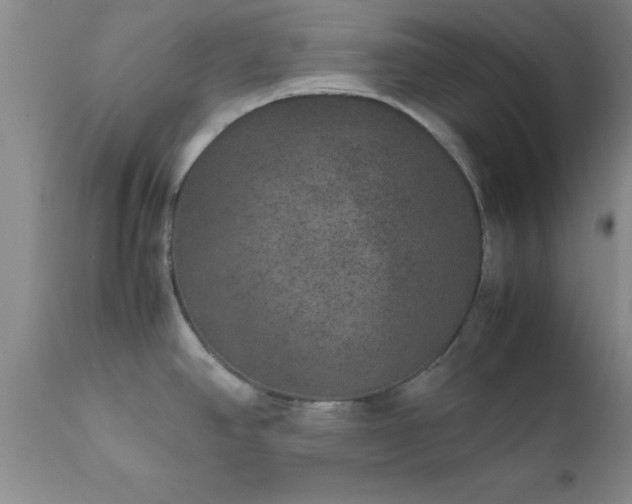 X0000111811390200907301223