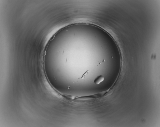 X0000111811392200907301223