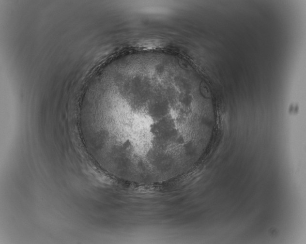 X0000111811393200907301222