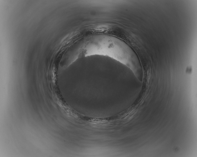 X0000111811394200907301222