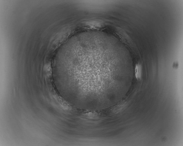 X0000111811395200907301222