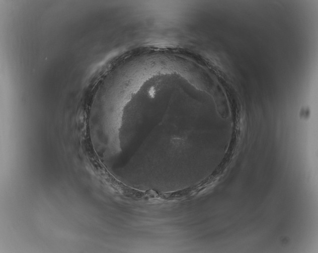 X0000111811398200907301222