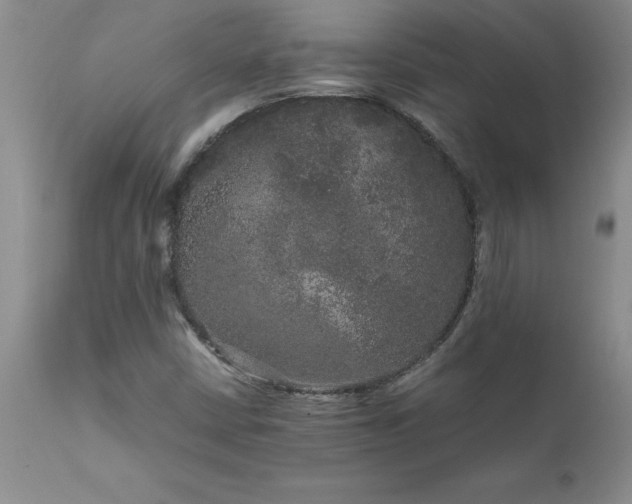 X0000111811402200907301222