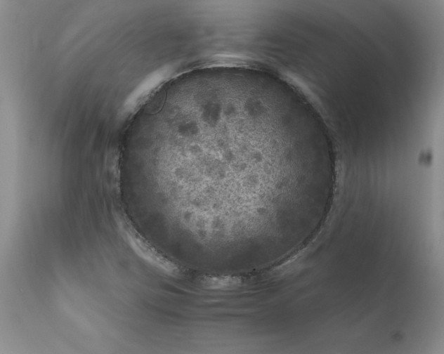 X0000111811403200907301222