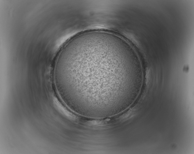 X0000111811404200907301222