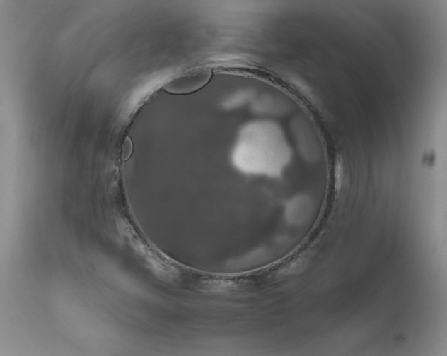 X0000111811405200907301222