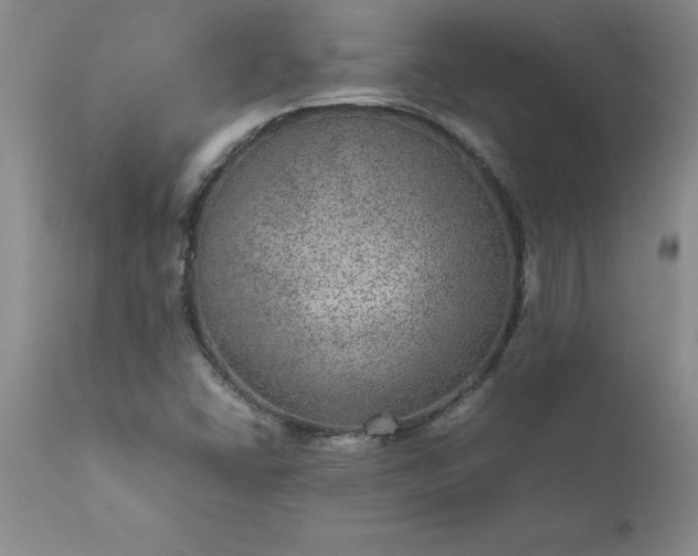 X0000111811406200907301222
