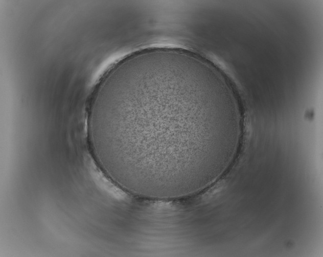 X0000111811408200907301222