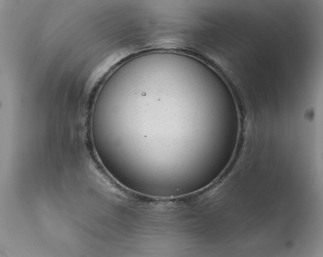 X0000111811410200907301222