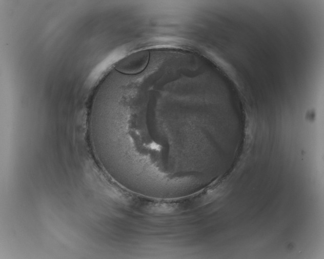 X0000111811411200907301222