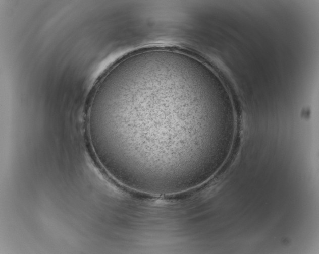 X0000111811412200907301222