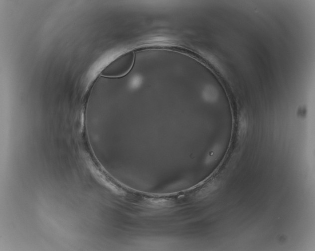 X0000111811413200907301222