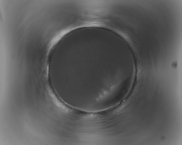 X0000111811414200907301222
