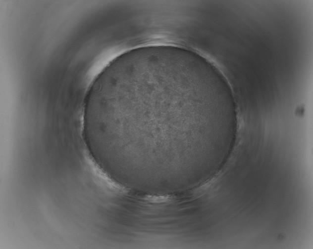 X0000111811415200907301222