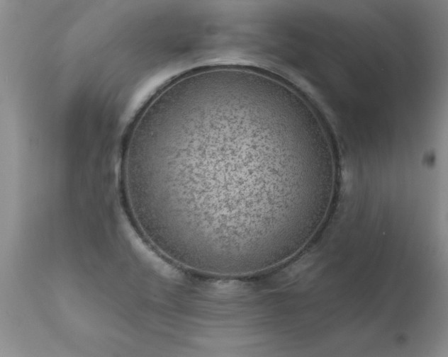 X0000111811416200907301222