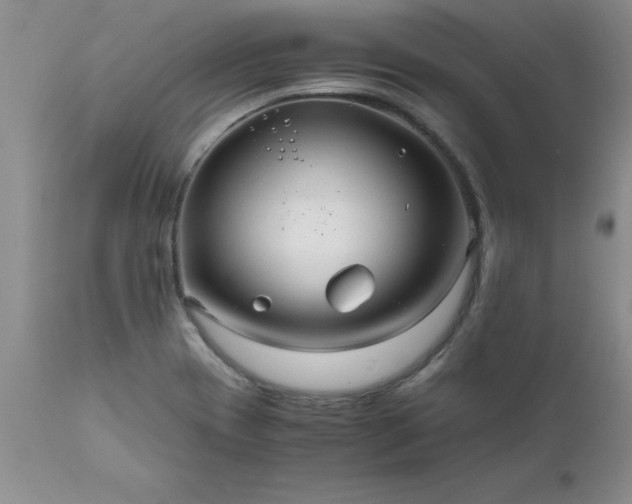 X0000111811417200907301222