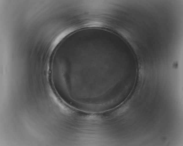 X0000111811418200907301222