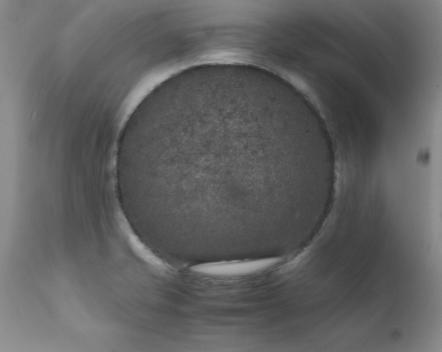 X0000111811421200907301222
